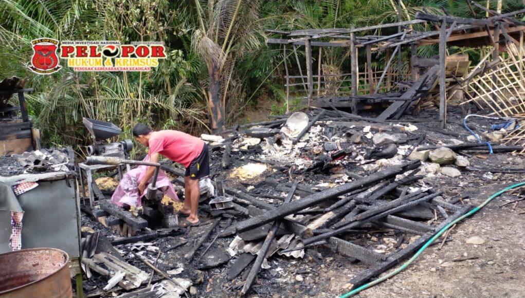 Ditinggal Pemilik, Si Jago Merah Ngamuk Melahap Dapur dan Kandang Sapi.
