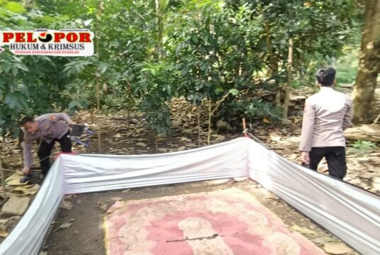 Polsek Sangkapura Grebek Arena Sabung Ayam di Wilayah Desa Pudakit Timur.