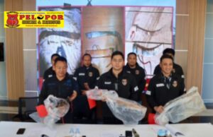 Sat Reskrim Polres Tanah Bumbu Ungkap Tiga Pelaku Pembunuhan di Kusan Hulu Ditangkap, Polisi Kejar hingga Kawasan Hutan