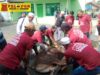 Semangat Kebersamaan Warnai Iduladha 1447 H, Mushola Miftahul Jannah Tanah Bumbu Sembelih 4 Sapi dan 2 Kambing untuk Ratusan Warga