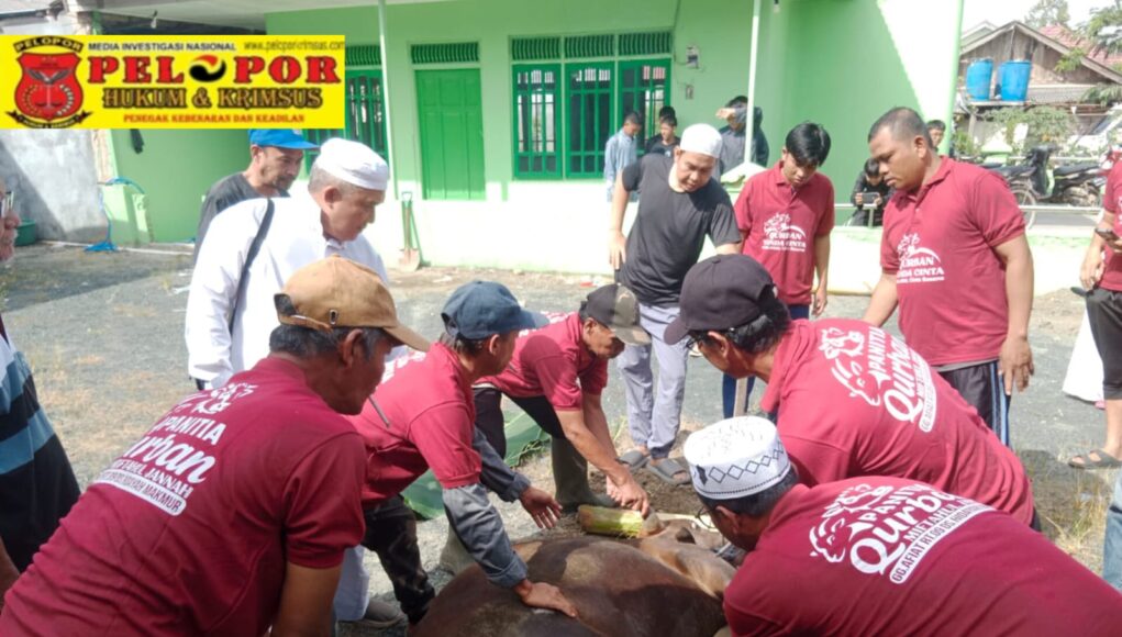 Semangat Kebersamaan Warnai Iduladha 1447 H, Mushola Miftahul Jannah Tanah Bumbu Sembelih 4 Sapi dan 2 Kambing untuk Ratusan Warga