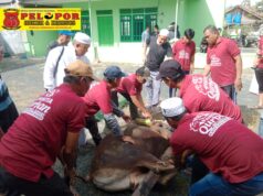 Semangat Kebersamaan Warnai Iduladha 1447 H, Mushola Miftahul Jannah Tanah Bumbu Sembelih 4 Sapi dan 2 Kambing untuk Ratusan Warga