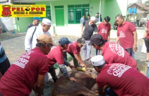 Semangat Kebersamaan Warnai Iduladha 1447 H, Mushola Miftahul Jannah Tanah Bumbu Sembelih 4 Sapi dan 2 Kambing untuk Ratusan Warga