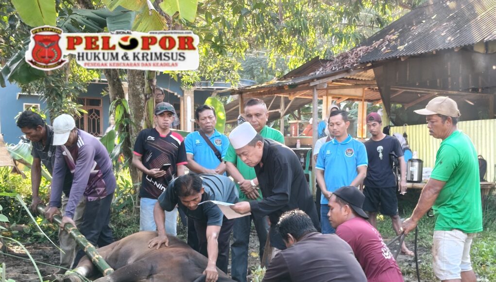 Iduladha 1447 H, Puskesmas Sangkapura Bawean Sembelih 4 Hewan Kurban.