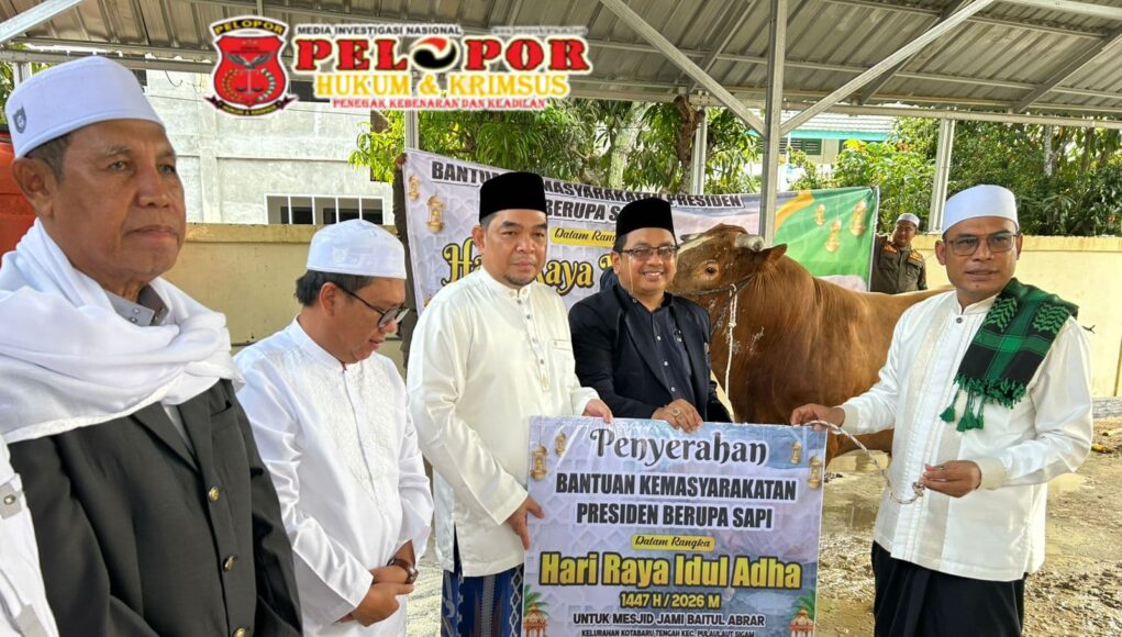Pemkab Kotabaru Salurkan Bantuan Sapi Kurban Presiden, Ribuan Kupon Dibagikan