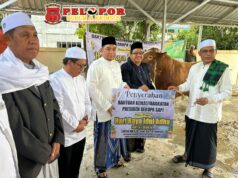 Pemkab Kotabaru Salurkan Bantuan Sapi Kurban Presiden, Ribuan Kupon Dibagikan