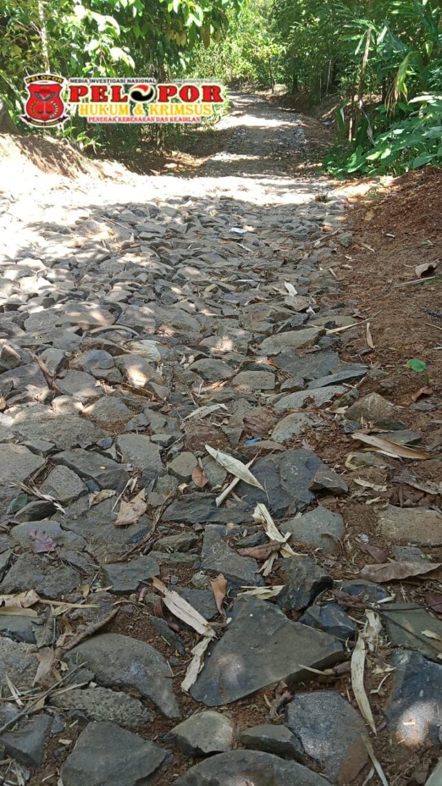 WA_1781080600831
