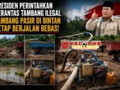 Presiden Perintahkan Berantas Tambang Ilegal, Aktivitas Tambang Pasir di Bintan Masih Jadi Sorotan