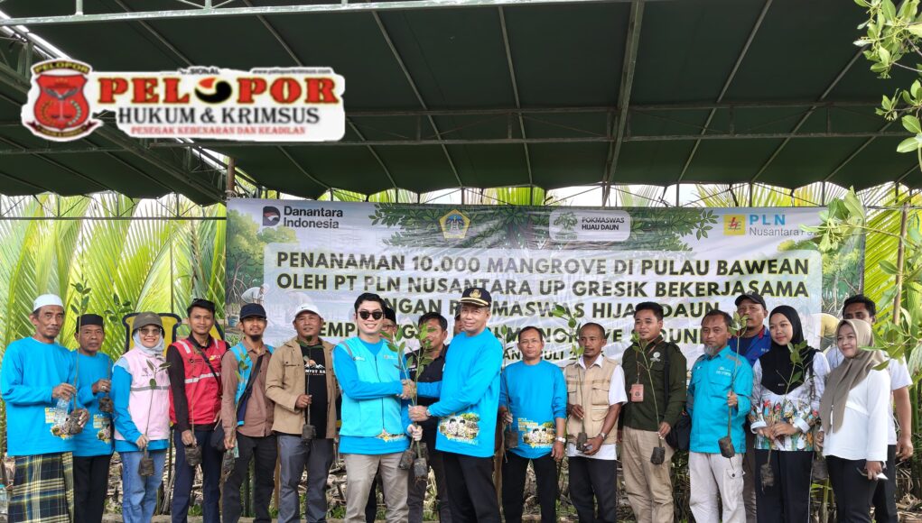 PT PLN Nusantara Power UP Gresik Bersinergi dengan Pokmaswas Hijau Daun Tanam 10 Ribu Mangrove di Pulau Bawean.