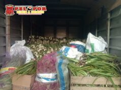 Petani Lidah Buaya Mendapatka Hasil yang Melimpah Dengan Modal Kepercayaan Dan Etika Berbisnis