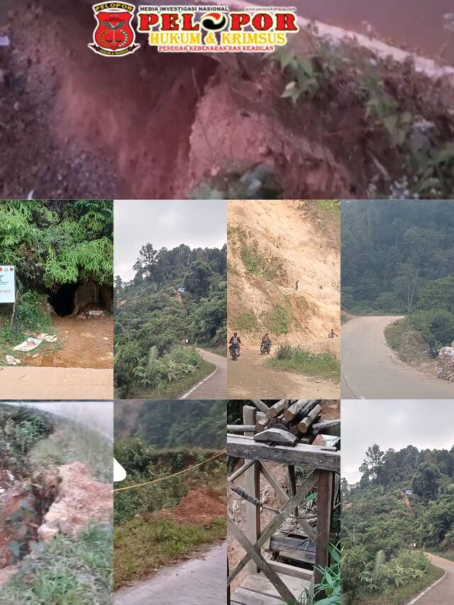 WA_1785454120503