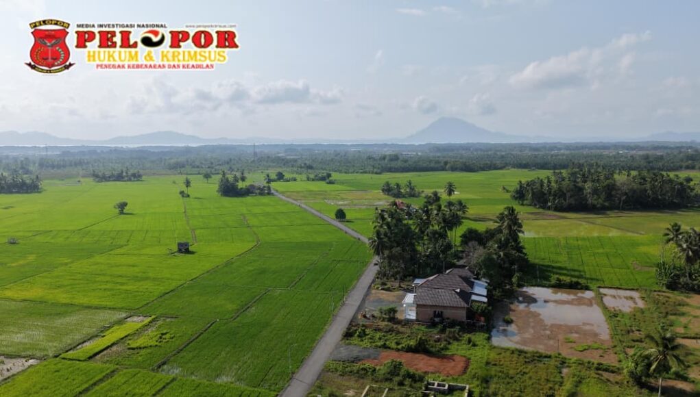 Bupati Andi Rudi Latif Dorong Produktivitas Petani dan Petambak Lewat Pengaspalan Jalan di Desa Sepunggur