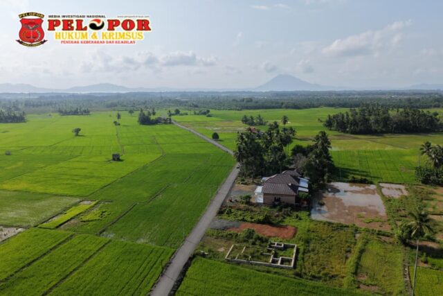 WA_1785547756310