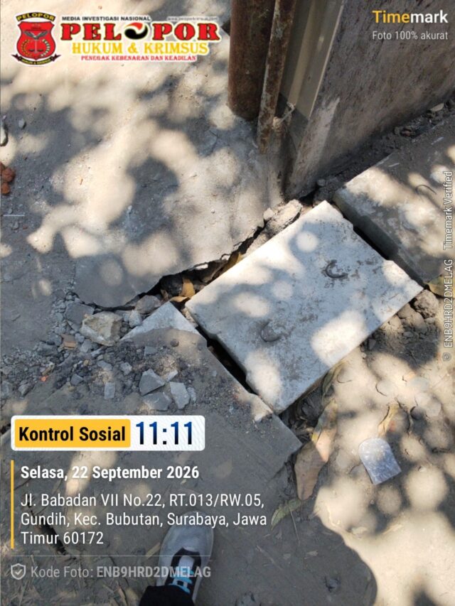 WA_1790068076569